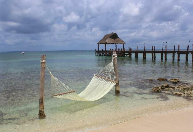 小型套房俱乐部海洋风景, Secrets Aura Cozumel   Adults Only