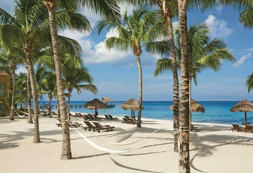 Apartament Junior Suite Club z widokiem na morze, Secrets Aura Cozumel   Adults Only