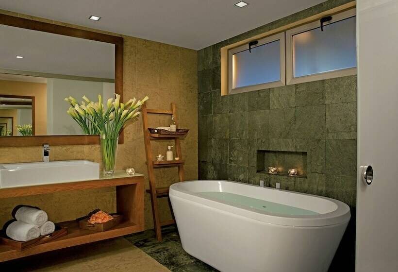 小型套房俱乐部泳池风景, Secrets Aura Cozumel   Adults Only