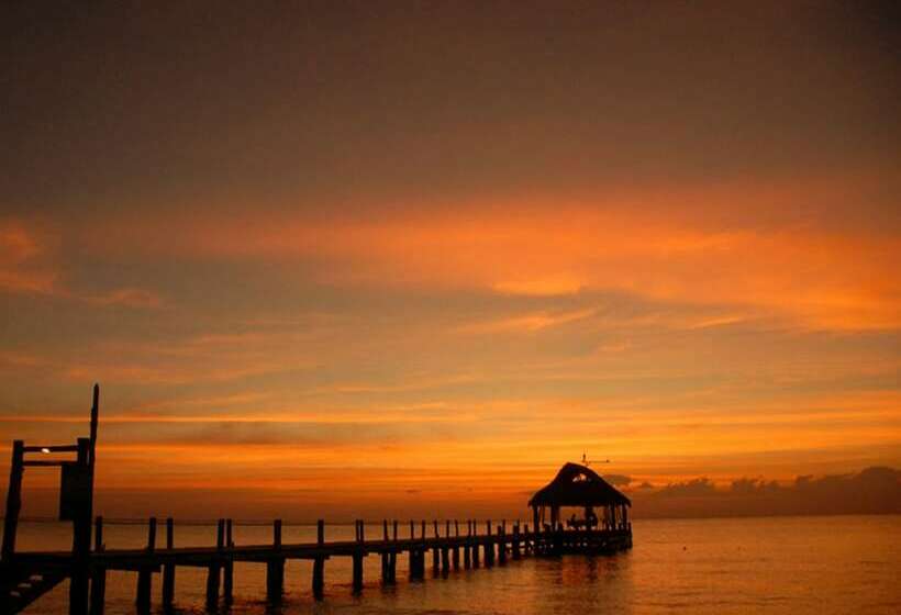 小型套房带海景, Secrets Aura Cozumel   Adults Only