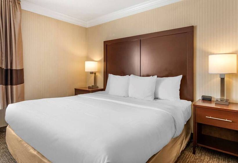 套房, Comfort Suites Downtown Carlisle