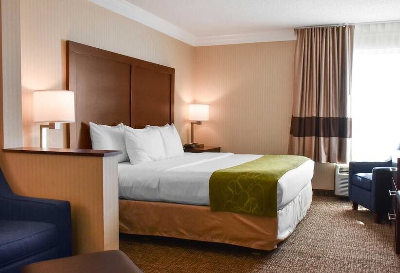 套房, Comfort Suites Downtown Carlisle