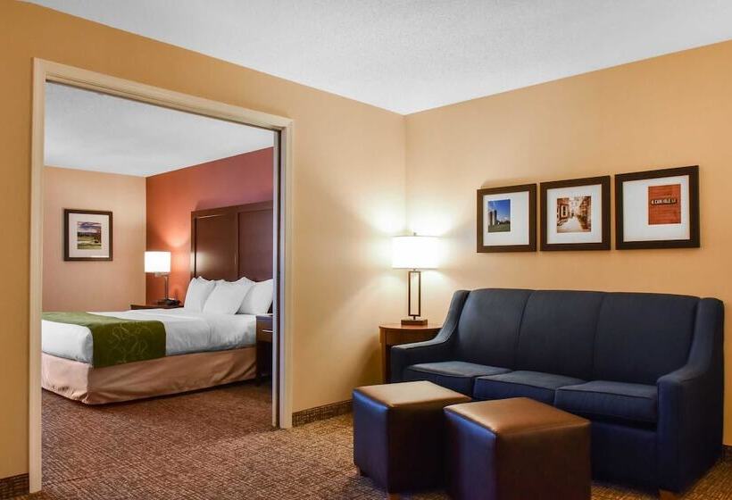 套房, Comfort Suites Downtown Carlisle