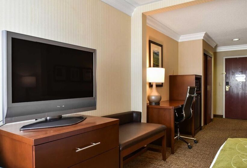 套房, Comfort Suites Downtown Carlisle
