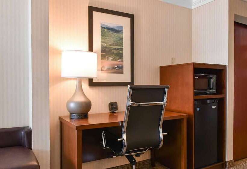 套房, Comfort Suites Downtown Carlisle