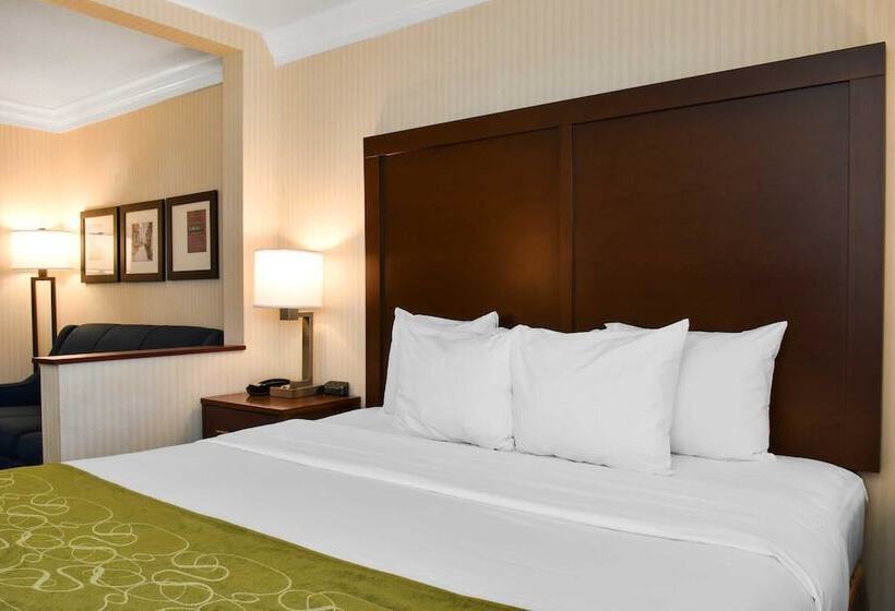 套房, Comfort Suites Downtown Carlisle