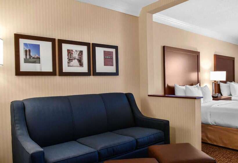 套房, Comfort Suites Downtown Carlisle