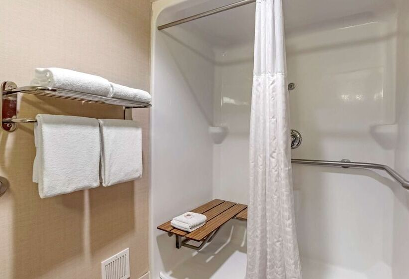 套房, Comfort Suites Downtown Carlisle