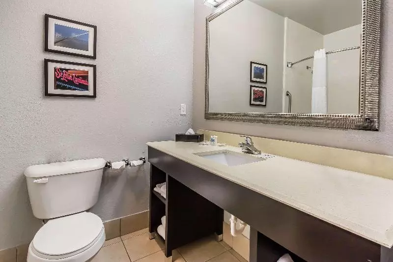キングサイズベッドのスイートルーム, Comfort Suites St Charlesst Louis