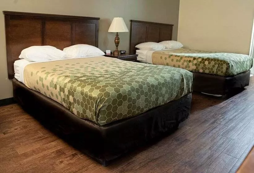 ２ダブルベッドのスタンダードルーム, Econo Lodge Near Fort Gregg Adams I 295