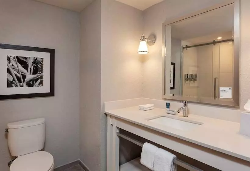 اتاق لوکس با چشم‌انداز استخر, Four Points By Sheraton Caguas Real