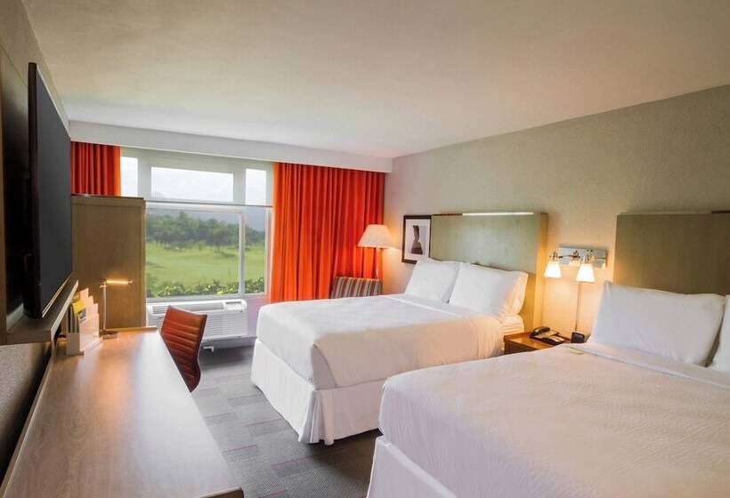 اتاق لوکس با چشم‌انداز استخر, Four Points By Sheraton Caguas Real