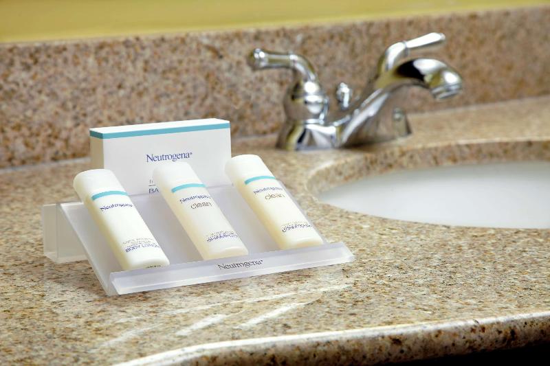 חדר פרמיום, Hilton Garden Inn Tampa East/brandon