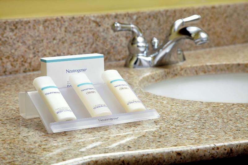 חדר פרמיום, Hilton Garden Inn Tampa East/brandon