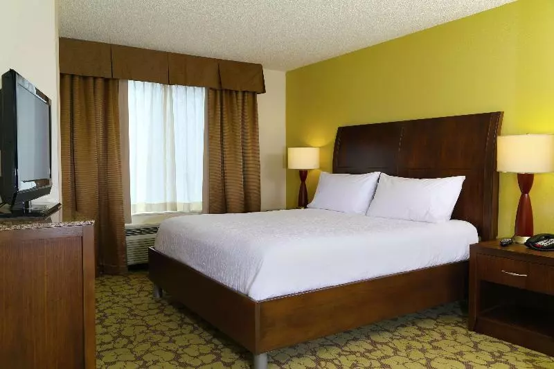キングサイズベッドのスタンダードルーム, Hilton Garden Inn Tampa East/brandon