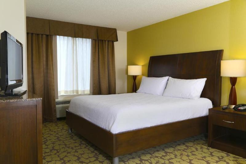 キングサイズベッドのスタンダードルーム, Hilton Garden Inn Tampa East/brandon