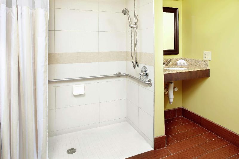 חדר סטנדרט עם מיטת קינג, Hilton Garden Inn Tampa East/brandon