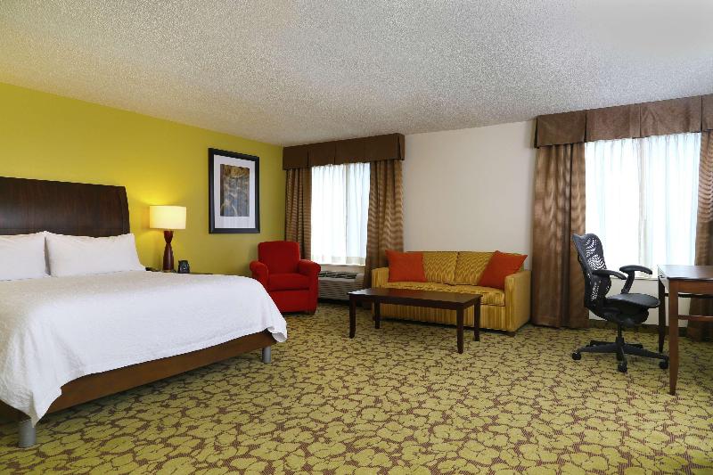 キングサイズベッドのデラックスルーム, Hilton Garden Inn Tampa East/brandon