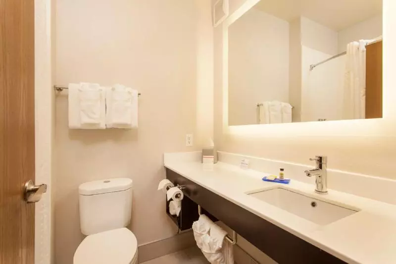 اتاق استاندارد با تخت بزرگ برای معلولان, Holiday Inn Express & Suites