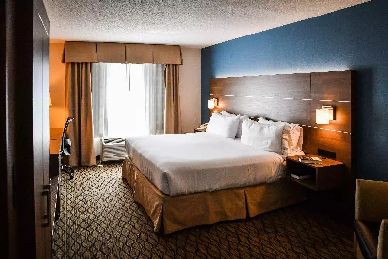 キングサイズベッドのスタンダードルーム, Holiday Inn Express Hotel & Suites   Concord, An Ihg