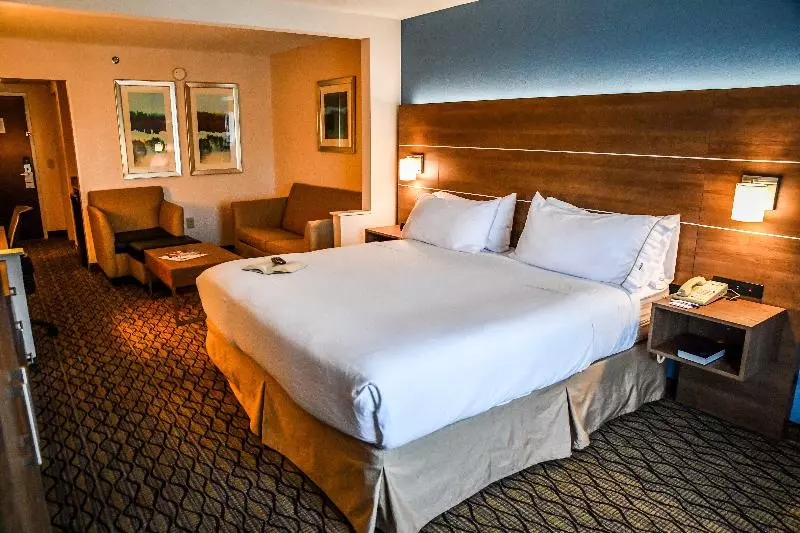 キングサイズベッドのスイートルーム, Holiday Inn Express Hotel & Suites   Concord, An Ihg