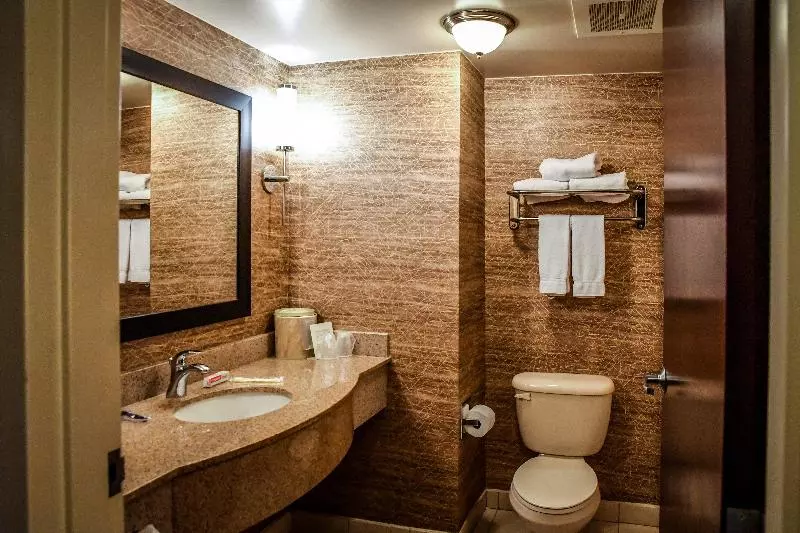 キングサイズベッドのスイートルーム, Holiday Inn Express Hotel & Suites   Concord, An Ihg