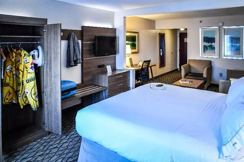 キングサイズベッドのスイートルーム, Holiday Inn Express Hotel & Suites   Concord, An Ihg