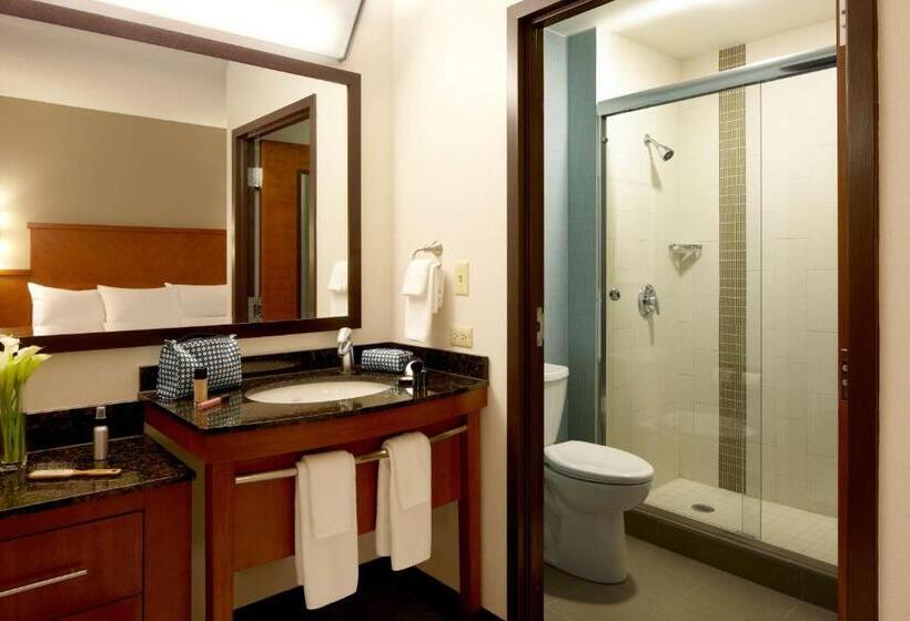 اتاق استاندارد با 2 تخت دوبل, Hyatt Place Chantilly Dulles Airport South