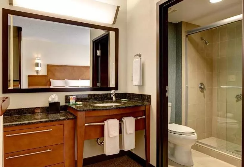 キングサイズベッドのスタンダードルーム, Hyatt Place Chantilly Dulles Airport South