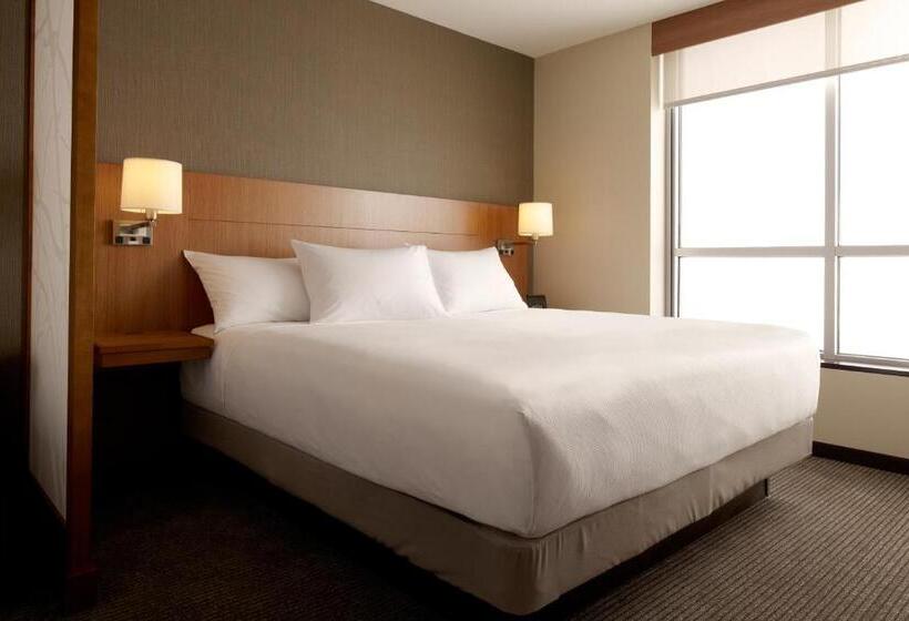 اتاق استاندارد با تخت بزرگ, Hyatt Place Chantilly Dulles Airport South