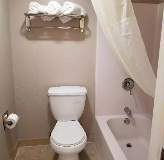 اتاق استاندارد, Super 8 By Wyndham San Antonio Pearl District / Downtown
