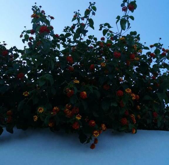 استودیو خانوادگی, Agriturismo Un Mare Di Fiori