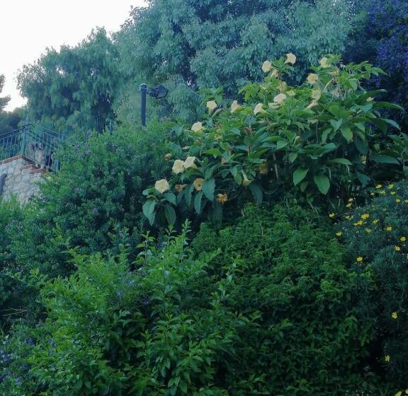 استودیو خانوادگی, Agriturismo Un Mare Di Fiori