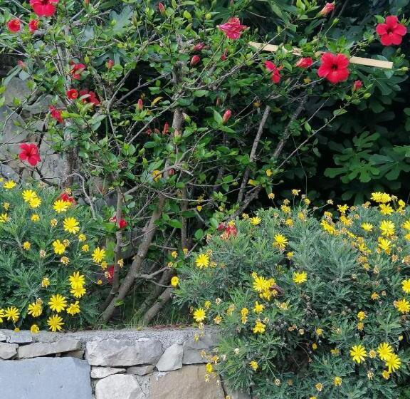 استودیو خانوادگی, Agriturismo Un Mare Di Fiori