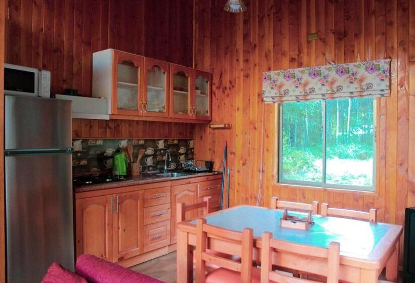 스탠다드 방갈로 침실 2개, La Casona Caburgua