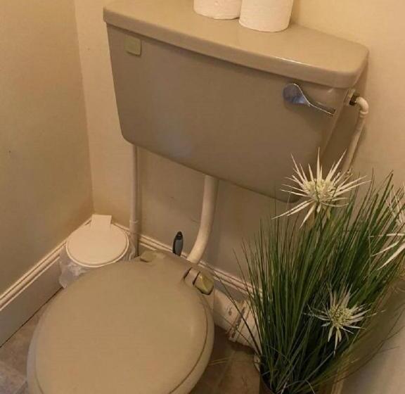 スタンダードルーム, Burlington