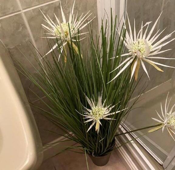 スタンダードトリプルルーム, Burlington