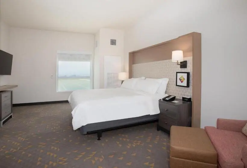 身障者適用キングサイズベッドルーム, Holiday Inn Glendale   Stadium & Ent Dist