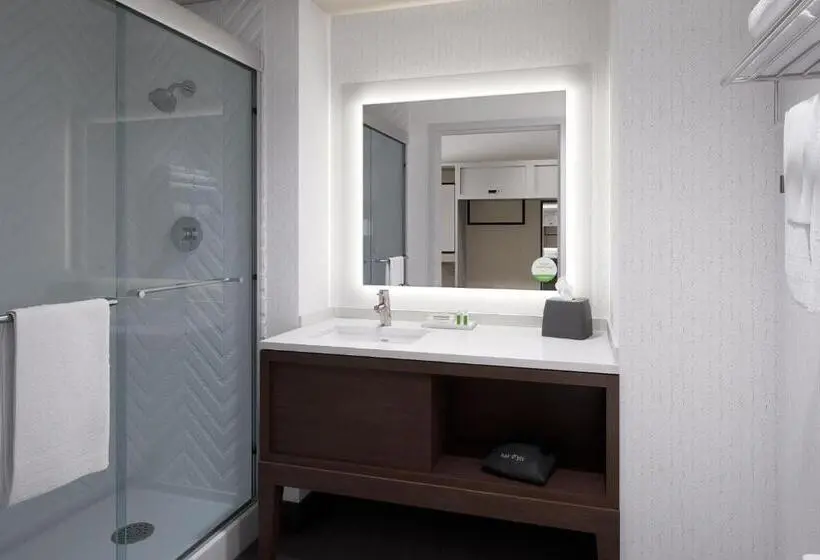 身障者適用キングサイズベッドルーム, Holiday Inn Glendale   Stadium & Ent Dist