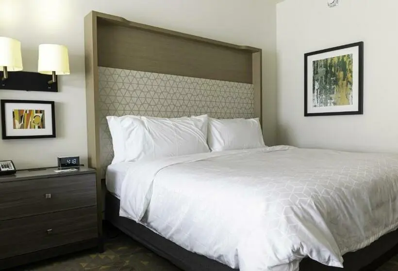 身障者適用キングサイズベッドルーム, Holiday Inn Glendale   Stadium & Ent Dist