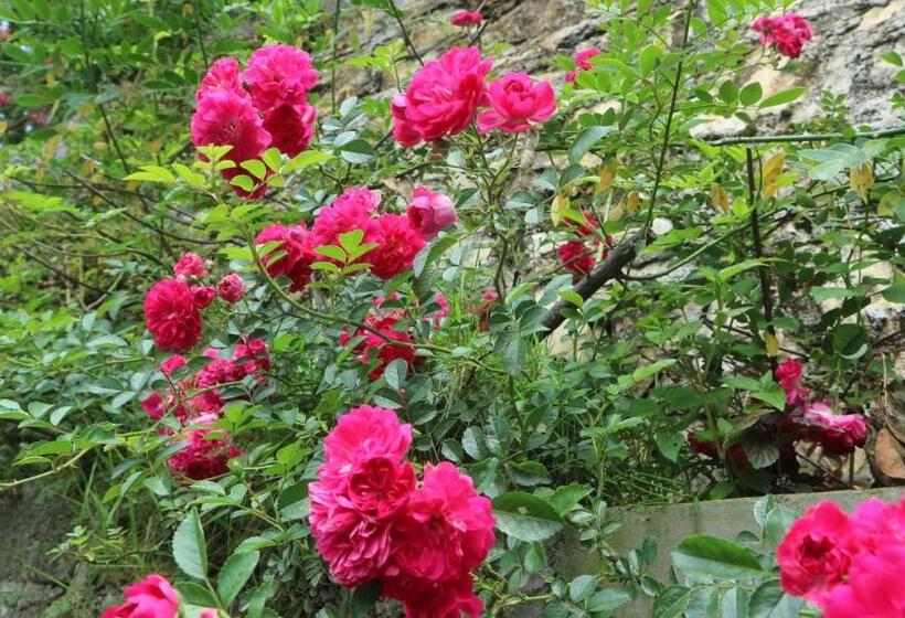 اتاق استاندارد با تراس, Mây Núi Homestay