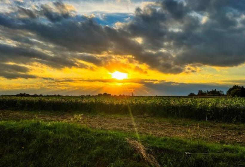 身障者適用キングサイズベッドルーム, B&b Leonie