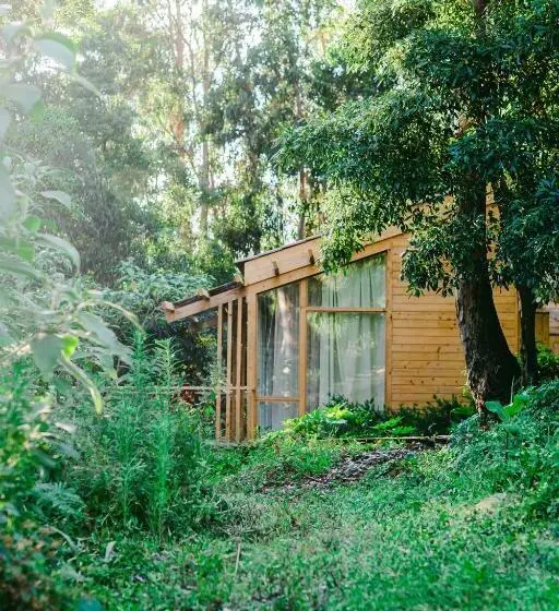 استودیوی استاندارد, Cabanas Da Viscondessa