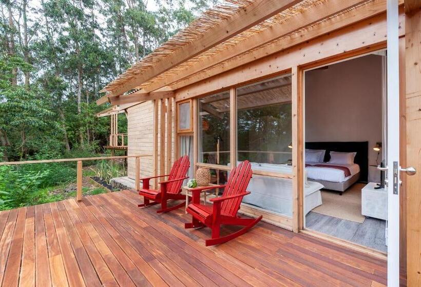 Студия Стандарт, Cabanas Da Viscondessa