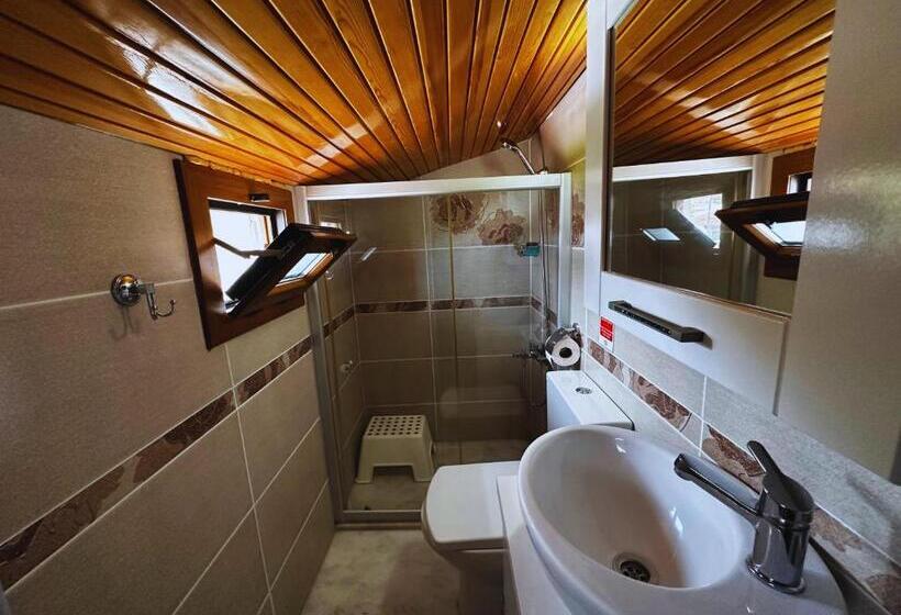 اتاق اکونومی, Fizzio Alacati