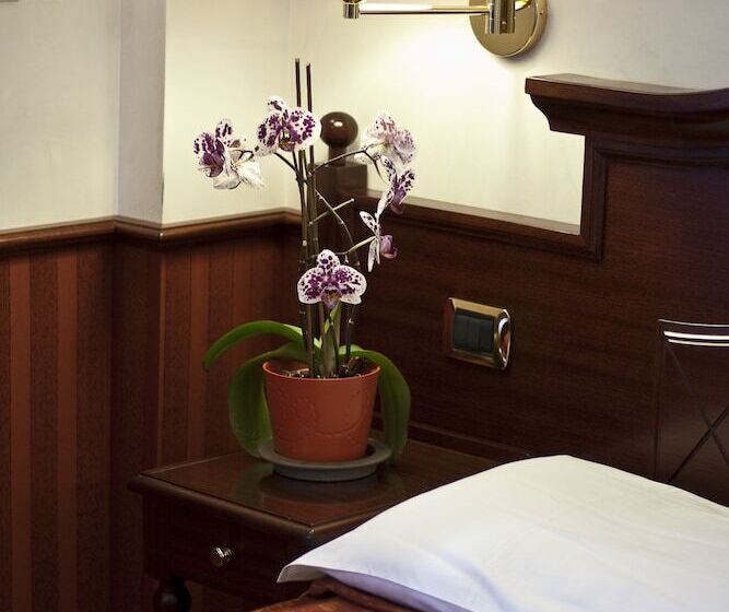 Superior Single Room