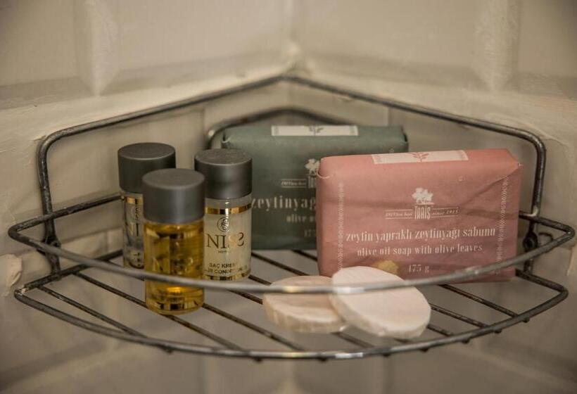 اتاق سوپریور, Niss Lara