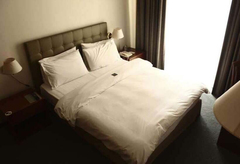 اتاق استاندارد, Plaza Hotel Beirut