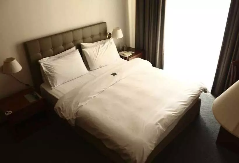اتاق استاندارد, Plaza Hotel Beirut