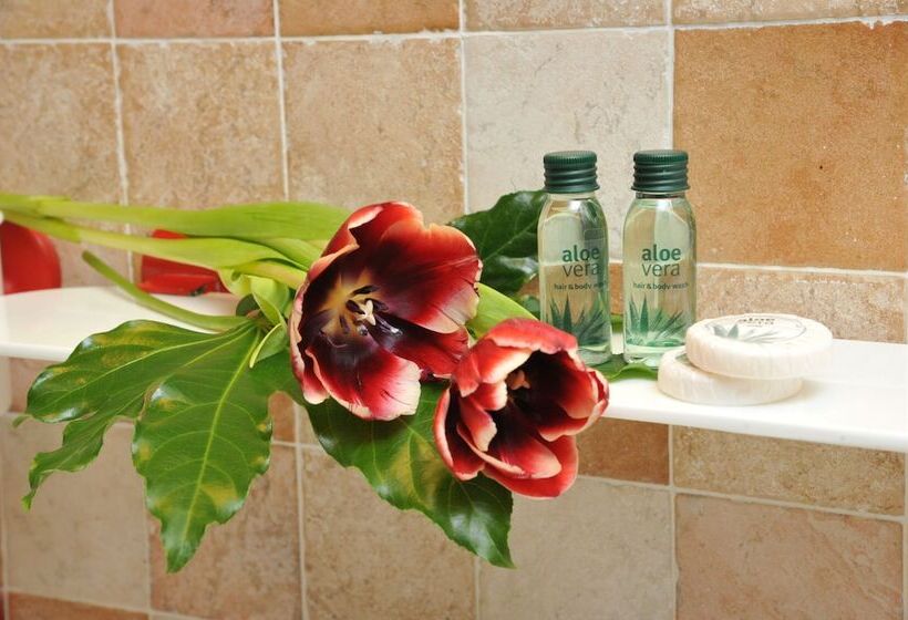 סטודיו נוח, Residence Bellevue